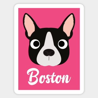 Boston - Boston Bull Terrier Sticker